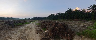 Sabahın erken saatlerinde tarım sabanı manzarasına bakıyorum..