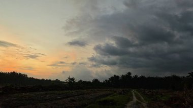 Sabahın erken saatlerinde tarım sabanı manzarasına bakıyorum..