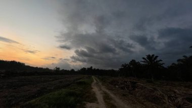 Sabahın erken saatlerinde tarım sabanı manzarasına bakıyorum..