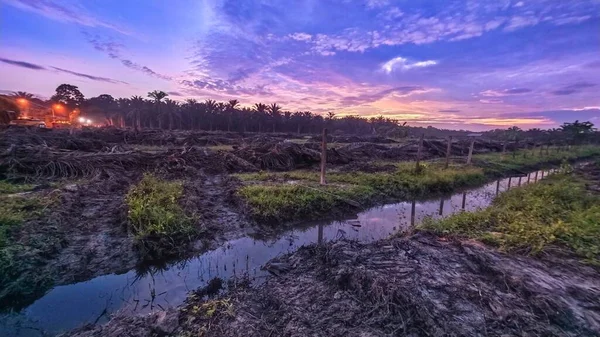 Sabahın erken saatlerinde tarım sabanı manzarasına bakıyorum..