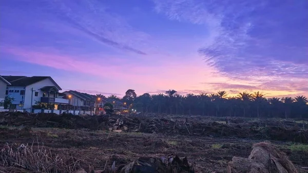Sabahın erken saatlerinde tarım sabanı manzarasına bakıyorum..
