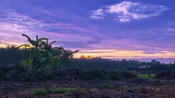 Sabahın erken saatlerinde tarım sabanı manzarasına bakıyorum..