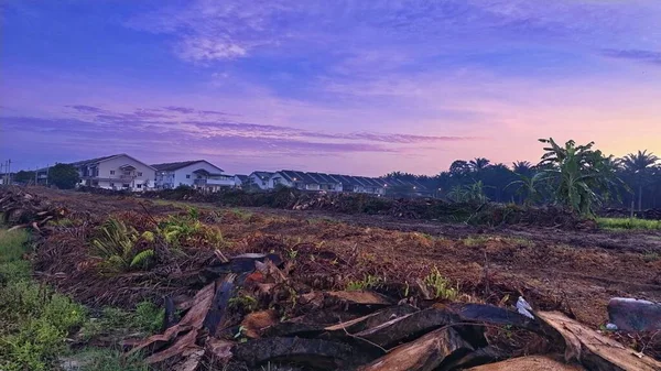 Sabahın erken saatlerinde tarım sabanı manzarasına bakıyorum..
