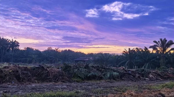 Sabahın erken saatlerinde tarım sabanı manzarasına bakıyorum..