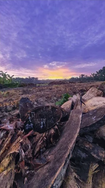 Sabahın erken saatlerinde tarım sabanı manzarasına bakıyorum..