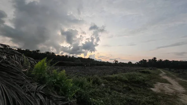 Sabahın erken saatlerinde tarım sabanı manzarasına bakıyorum..