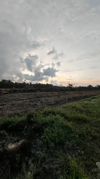 Sabahın erken saatlerinde tarım sabanı manzarasına bakıyorum..