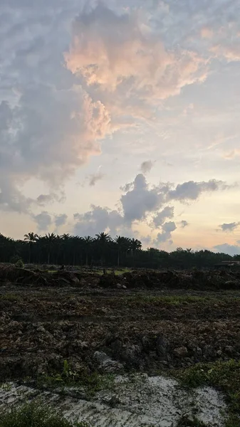 Sabahın erken saatlerinde tarım sabanı manzarasına bakıyorum..