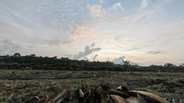 Sabahın erken saatlerinde tarım sabanı manzarasına bakıyorum..