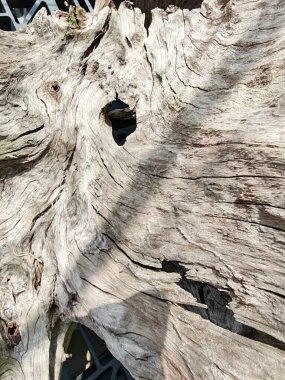 Bahçe dekorasyonu blokları eski meşe ağacı ahşap ekran