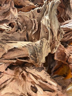 Bahçe dekorasyonu blokları eski meşe ağacı ahşap ekran