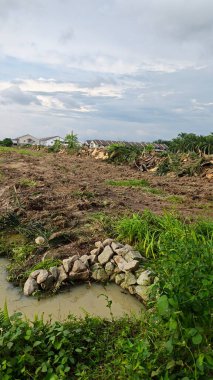 Çiftliğin çevresindeki temiz arazide insan yapımı toprak yol ve drenaj sisteminin manzarası..