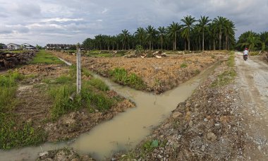 Çiftliğin çevresindeki temiz arazide insan yapımı toprak yol ve drenaj sisteminin manzarası..
