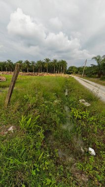 Çiftliğin çevresindeki temiz arazide insan yapımı toprak yol ve drenaj sisteminin manzarası..