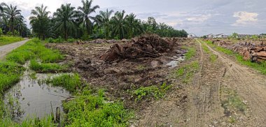Çiftliğin çevresindeki temiz arazide insan yapımı toprak yol ve drenaj sisteminin manzarası..
