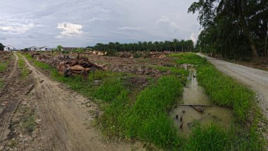 Çiftliğin çevresindeki temiz arazide insan yapımı toprak yol ve drenaj sisteminin manzarası..