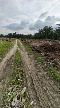 Çiftliğin çevresindeki temiz arazide insan yapımı toprak yol ve drenaj sisteminin manzarası..
