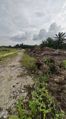 Çiftliğin çevresindeki temiz arazide insan yapımı toprak yol ve drenaj sisteminin manzarası..