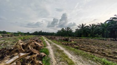 Çiftliğin çevresindeki temiz arazide insan yapımı toprak yol ve drenaj sisteminin manzarası..