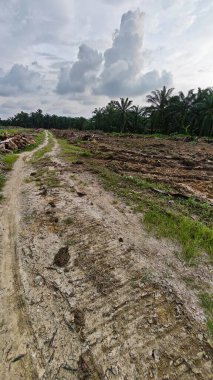 Çiftliğin çevresindeki temiz arazide insan yapımı toprak yol ve drenaj sisteminin manzarası..