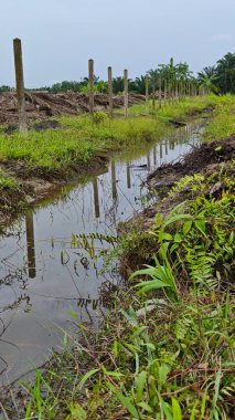 Çiftliğin çevresindeki temiz arazide insan yapımı toprak yol ve drenaj sisteminin manzarası..