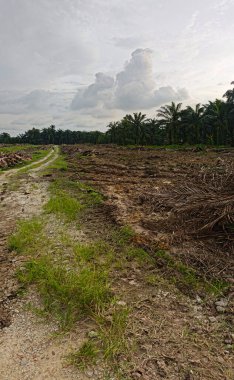 Çiftliğin çevresindeki temiz arazide insan yapımı toprak yol ve drenaj sisteminin manzarası..