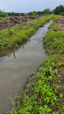 Çiftliğin çevresindeki temiz arazide insan yapımı toprak yol ve drenaj sisteminin manzarası..