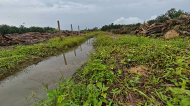 Çiftliğin çevresindeki temiz arazide insan yapımı toprak yol ve drenaj sisteminin manzarası..