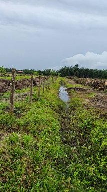 Çiftliğin çevresindeki temiz arazide insan yapımı toprak yol ve drenaj sisteminin manzarası..
