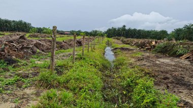 Çiftliğin çevresindeki temiz arazide insan yapımı toprak yol ve drenaj sisteminin manzarası..