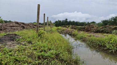 Çiftliğin çevresindeki temiz arazide insan yapımı toprak yol ve drenaj sisteminin manzarası..