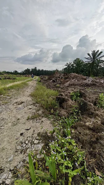 Çiftliğin çevresindeki temiz arazide insan yapımı toprak yol ve drenaj sisteminin manzarası..