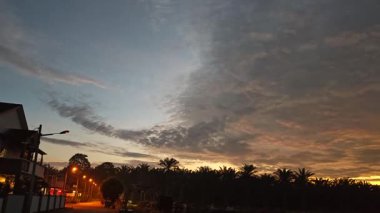 Looking high up the colorful early morning sky at the quiet Asian plantation countryside.