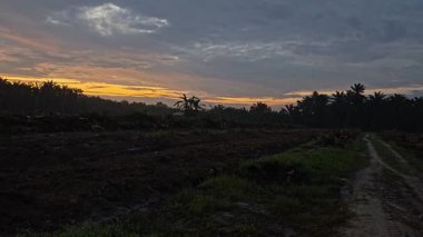 Sessiz Asya çiftliğinde, sabahın erken saatlerinde gökyüzüne bakıyorum..