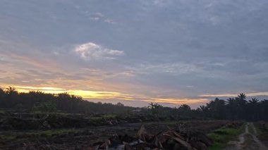 Sessiz Asya çiftliğinde, sabahın erken saatlerinde gökyüzüne bakıyorum..