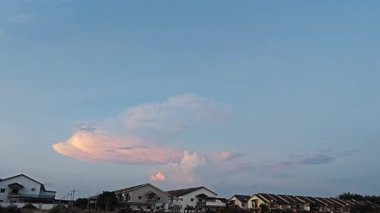 Looking high up the colorful early morning sky at the quiet Asian plantation countryside.