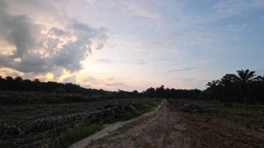 Sessiz Asya çiftliğinde, sabahın erken saatlerinde gökyüzüne bakıyorum..