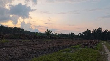 Sessiz Asya çiftliğinde, sabahın erken saatlerinde gökyüzüne bakıyorum..