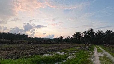 Sessiz Asya çiftliğinde, sabahın erken saatlerinde gökyüzüne bakıyorum..