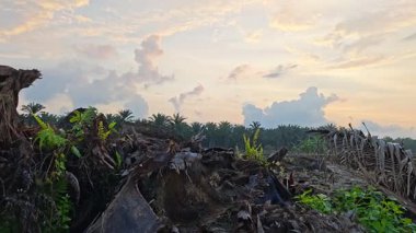 Sessiz Asya çiftliğinde, sabahın erken saatlerinde gökyüzüne bakıyorum..