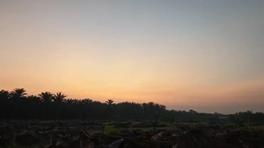 Sessiz Asya çiftliğinde, sabahın erken saatlerinde gökyüzüne bakıyorum..