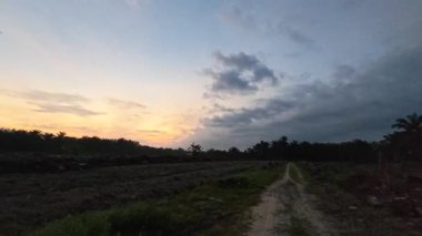 Sessiz Asya çiftliğinde, sabahın erken saatlerinde gökyüzüne bakıyorum..