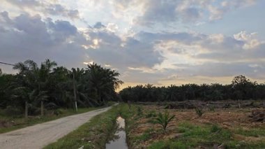 Sessiz Asya çiftliğinde, sabahın erken saatlerinde gökyüzüne bakıyorum..