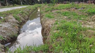 Sessiz Asya çiftliğinde, sabahın erken saatlerinde gökyüzüne bakıyorum..