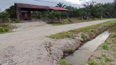 Sessiz Asya çiftliğinde, sabahın erken saatlerinde gökyüzüne bakıyorum..