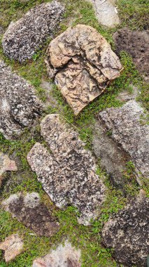 Eski tuğla parke dokusunun desenleri.