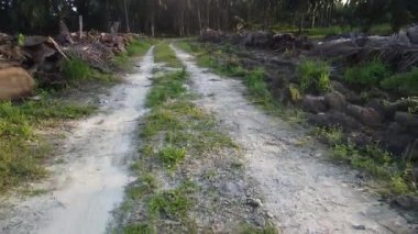 Tarlaya giden izole toprak yolun havadan görüntüsü..