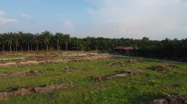 Tarlaya giden izole toprak yolun havadan görüntüsü..