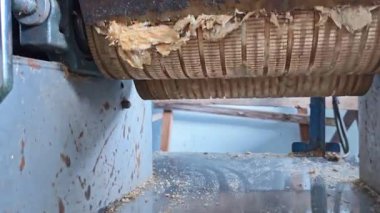 Açık ya da kapalı alanda ölçek kurutma sahnesi, bağırsak, tamamen temiz ve yassı keçi balığı eti daha sonra satay balığı üretir.