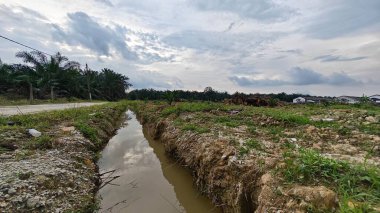 Plantasyon alanının çevresindeki basit kırsal drenaj sistemi ile gündüz gökyüzü sahnesi ön planda..